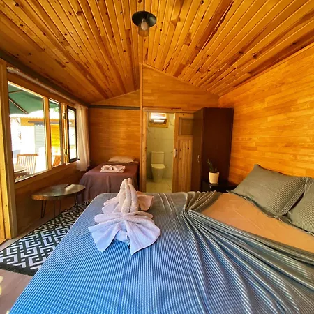 Lazoglu * Guzelcamlı