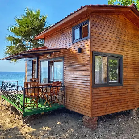 Lazoglu * Гюзельчамли