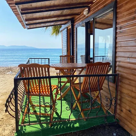 Lazoglu Гюзельчамли