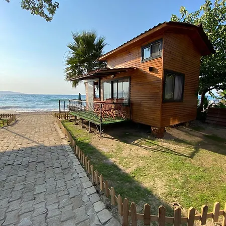 Lazoglu