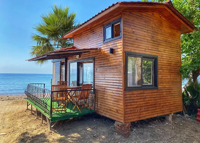 Lazoglu * Guzelcamlı